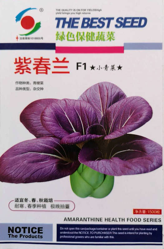 Purple Chunlan——Purplish Red Healthy Vegetable